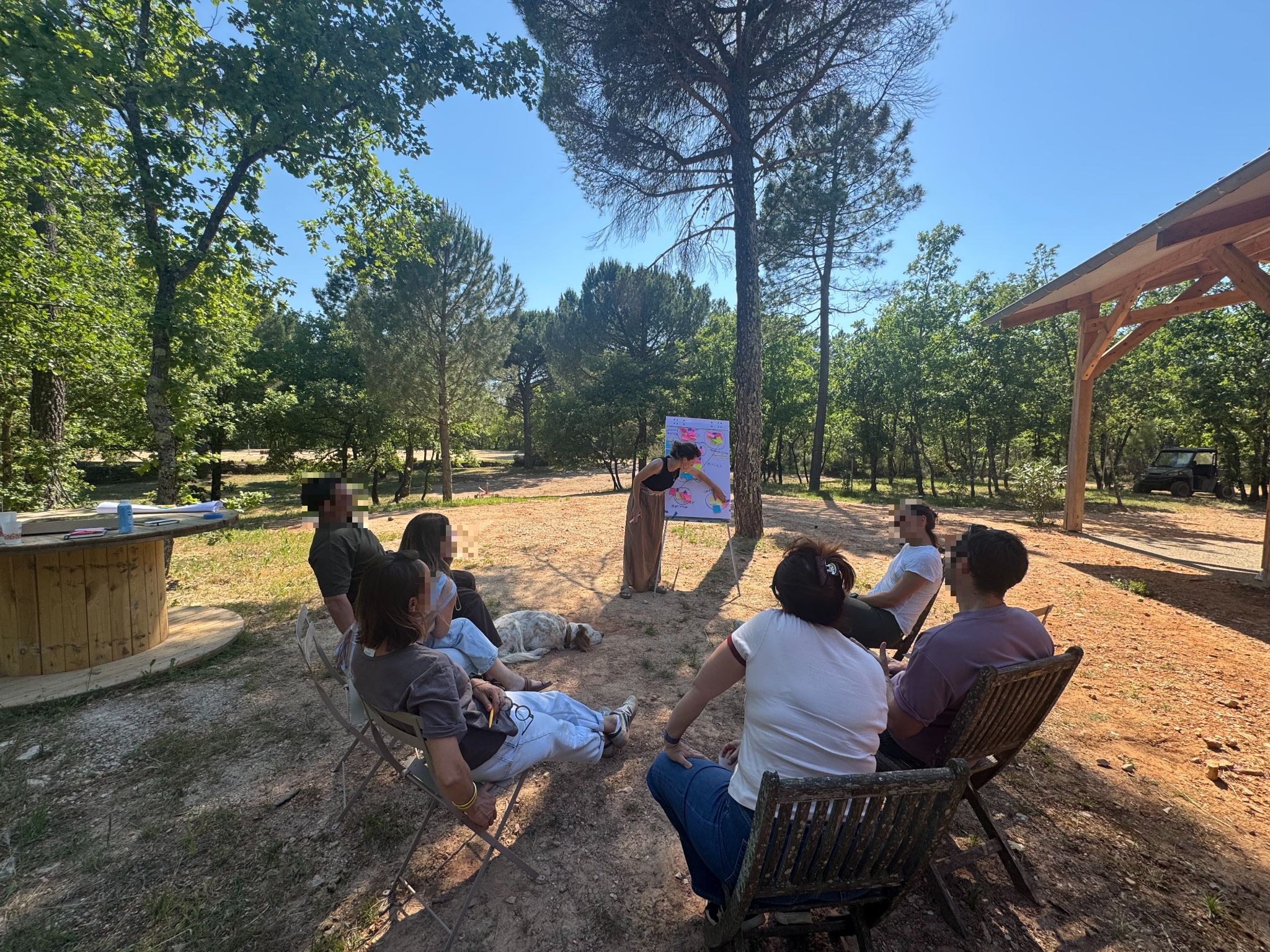Session de facilitation en collectif animée par Insuffle : le groupe travaille autour d'un support visuel